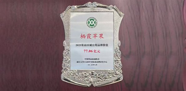 77.06億元！“棲霞蘋果”品牌價值穩居全國榜首！